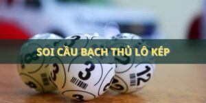 Soi cầu bạch thủ lô kép - Hướng dẫn cách làm hiệu quả nhất